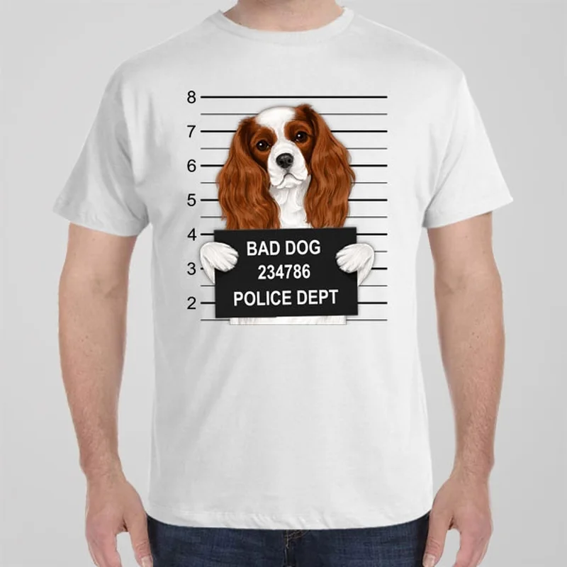 Workout graphic T-shirts sporty -Cavalier Charles King Spaniel mugshot - T-shirt